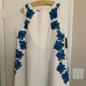 Ivy+blu plus size dress